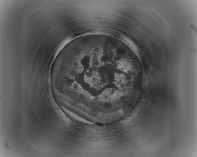 X0000097500907200803071759