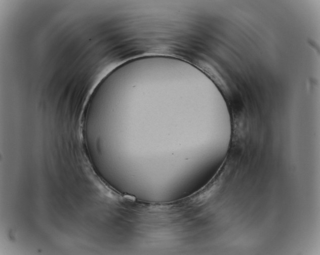 X0000097500908200803071759