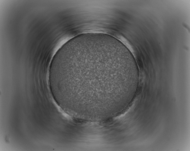 X0000097500909200803071759