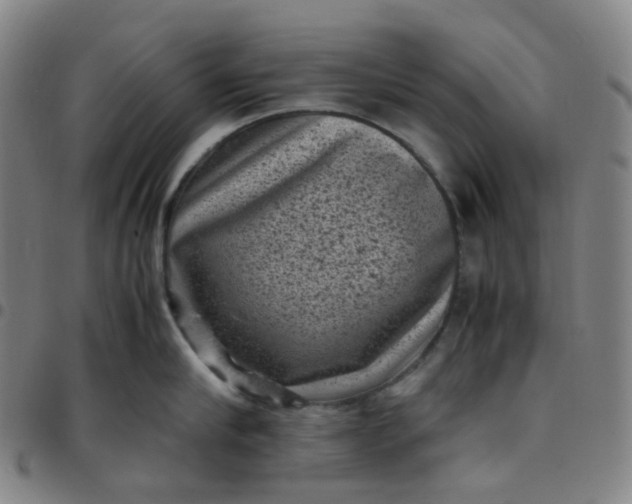 X0000097500910200803071759