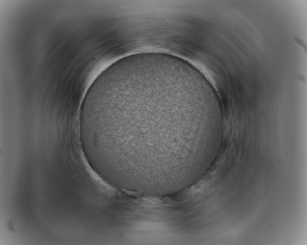 X0000097500911200803071759