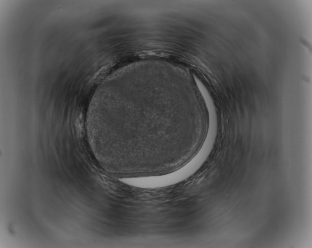 X0000097500915200803071758