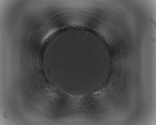 X0000097500919200803071759