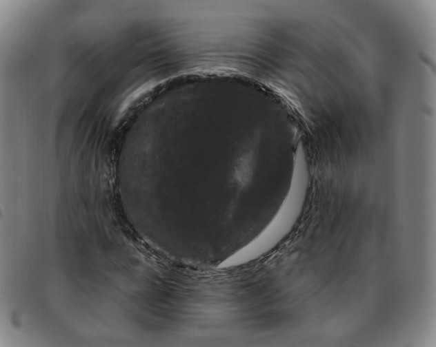 X0000097500920200803071759