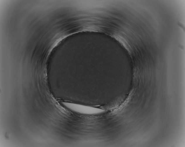 X0000097500923200803071759