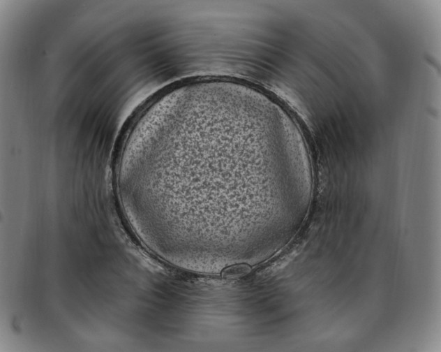 X0000097500928200803071759