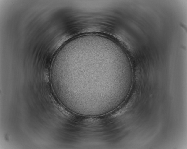 X0000097500929200803071759