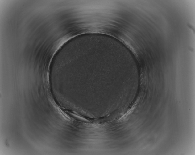 X0000097500932200803071759