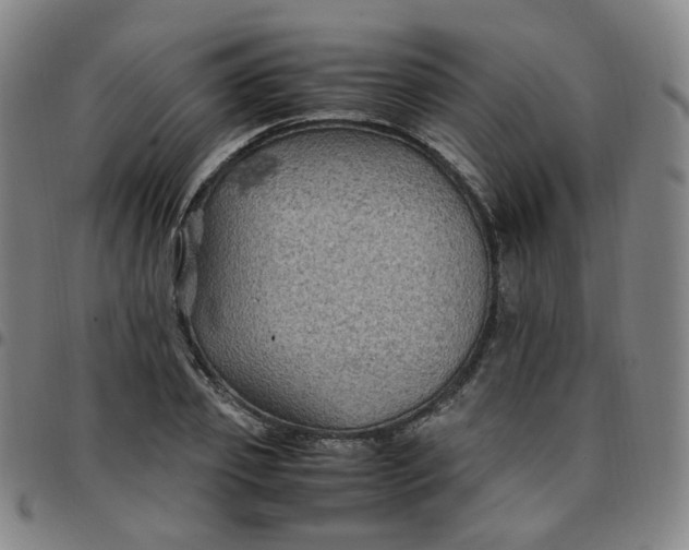 X0000097500933200803071759