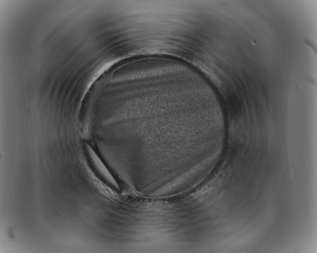 X0000097500934200803071759