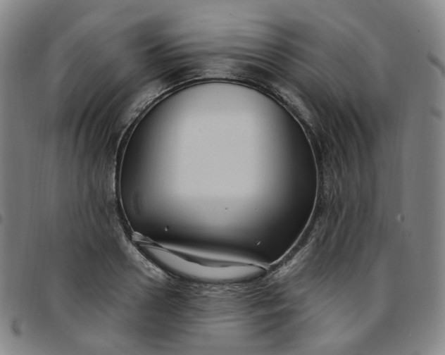 X0000097500938200803071759