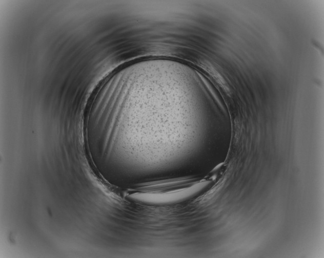 X0000097500939200803071759