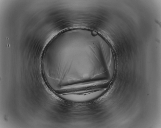 X0000097500941200803071759