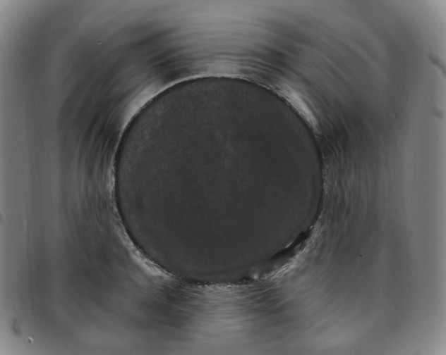 X0000097500944200803071759