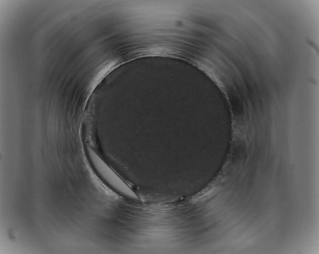 X0000097500946200803071759