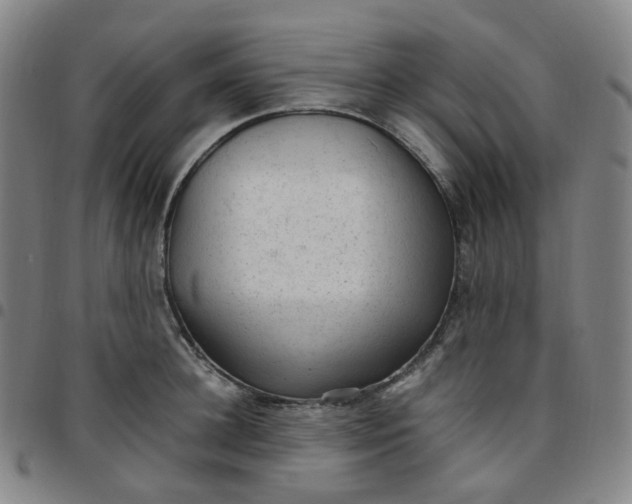 X0000097500948200803071759