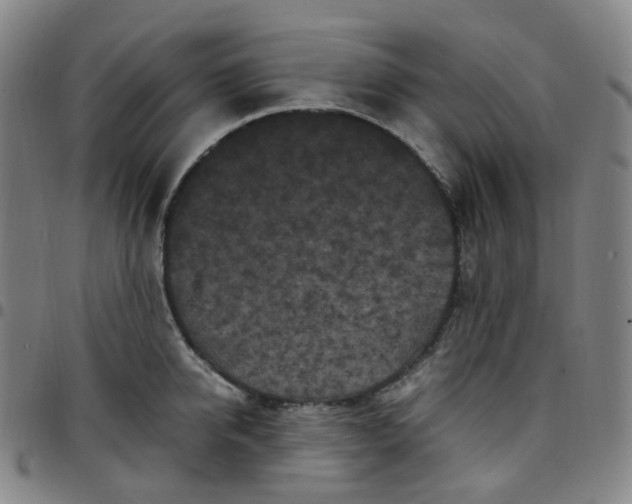 X0000097500950200803071759