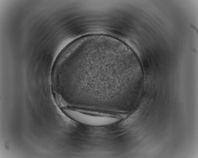 X0000097500951200803071759