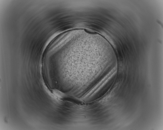 X0000097500955200803071759