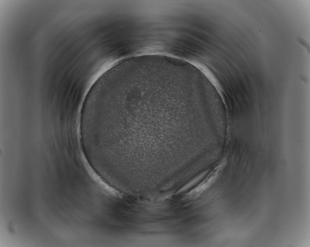 X0000097500957200803071759