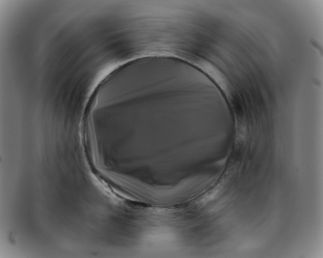 X0000097500958200803071759