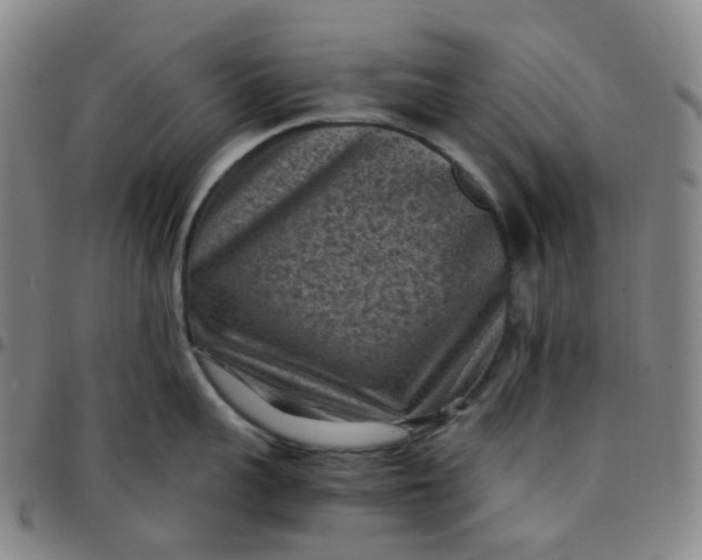 X0000097500959200803071759