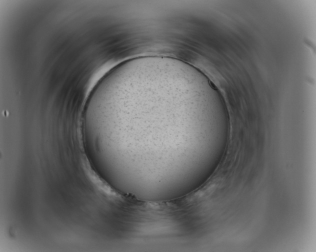X0000097500960200803071759