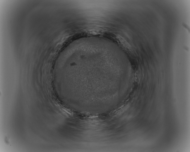 X0000097500961200803071758