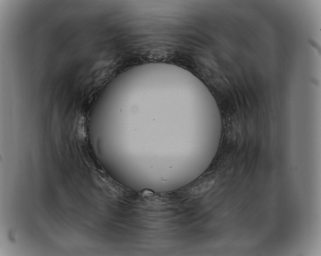 X0000097500962200803071758