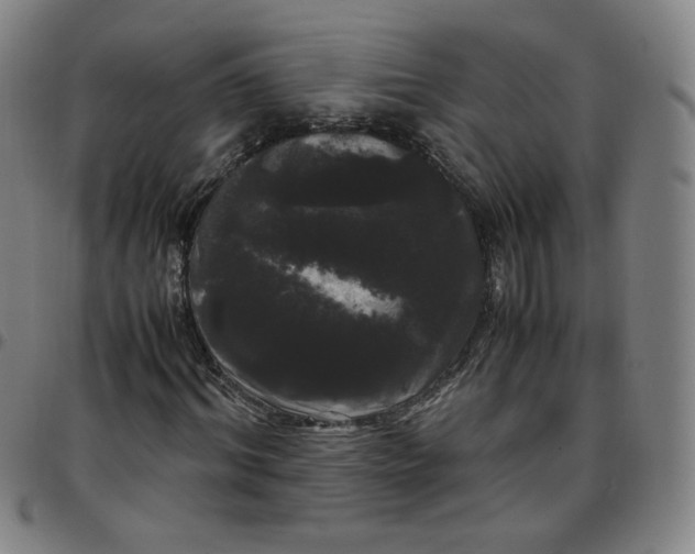 X0000097500964200803071758