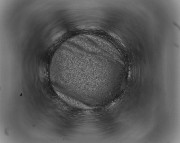 X0000097500966200803071758