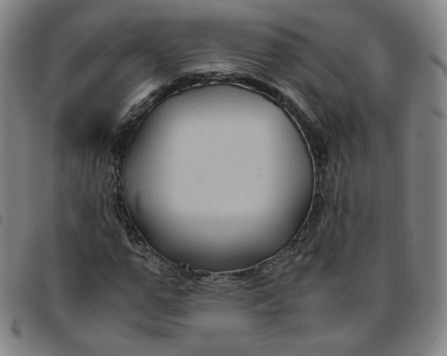 X0000097500967200803071758