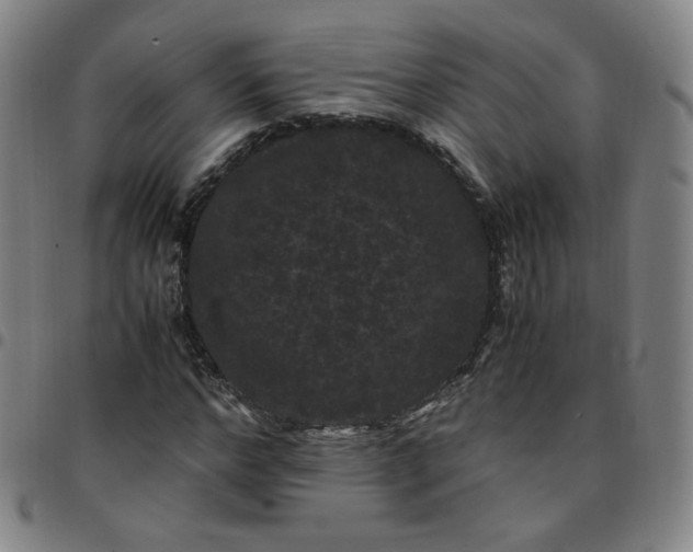 X0000097500968200803071758