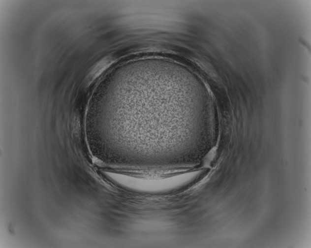 X0000097500969200803071758
