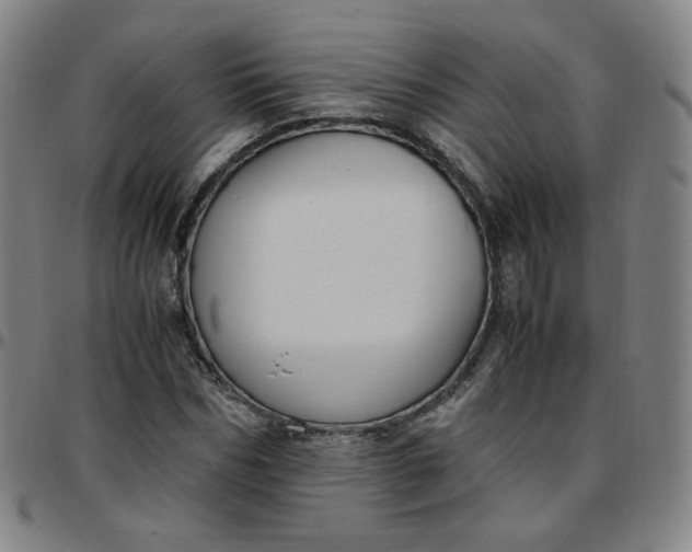 X0000097500970200803071758