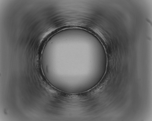 X0000097500971200803071758