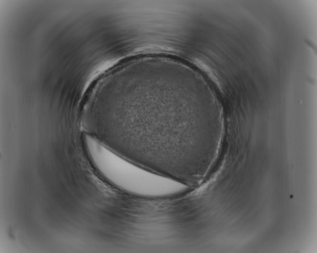 X0000097500973200803071758