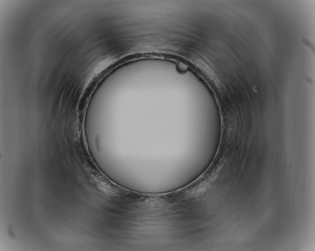 X0000097500974200803071758