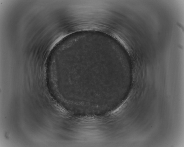 X0000097500975200803071758