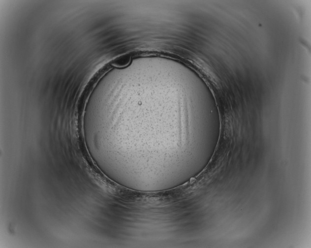 X0000097500976200803071758
