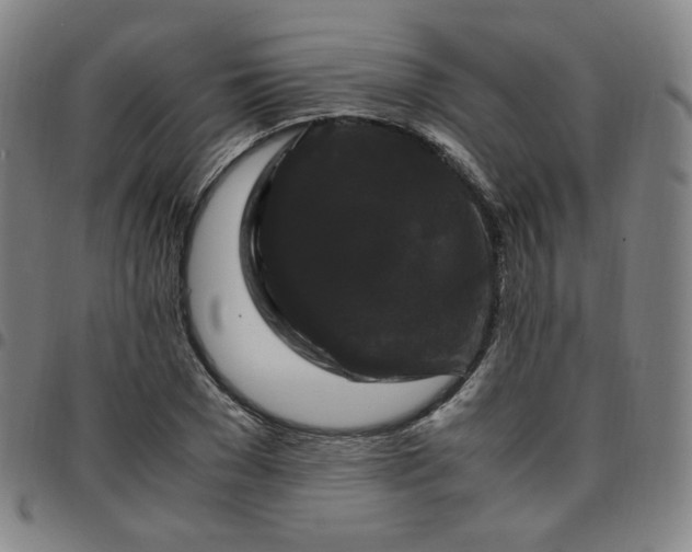 X0000097500977200803071758