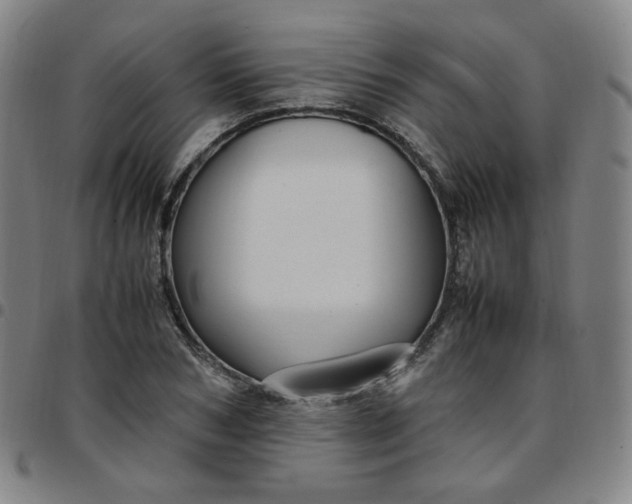 X0000097500978200803071758