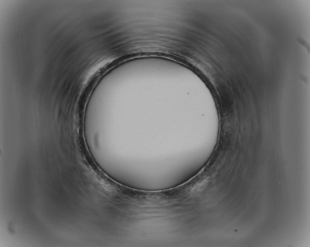 X0000097500979200803071758
