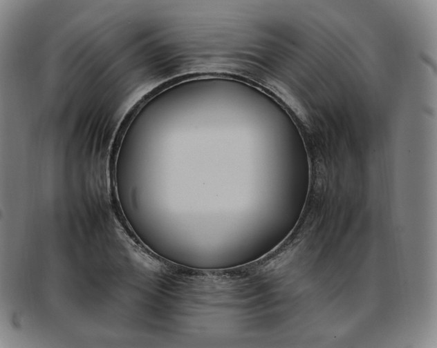 X0000097500980200803071758