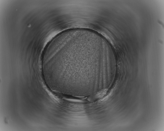 X0000097500981200803071758