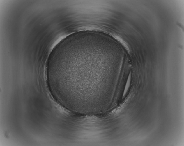 X0000097500983200803071758