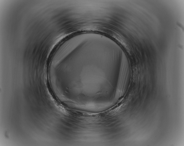 X0000097500984200803071758