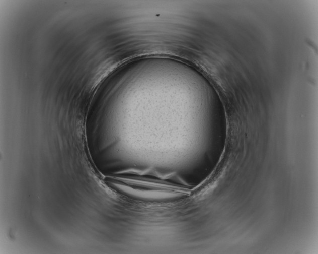 X0000097500985200803071758