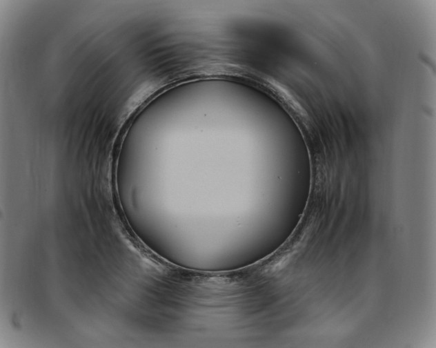 X0000097500986200803071758