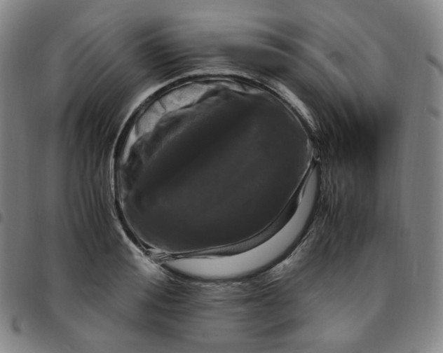 X0000097500988200803071758